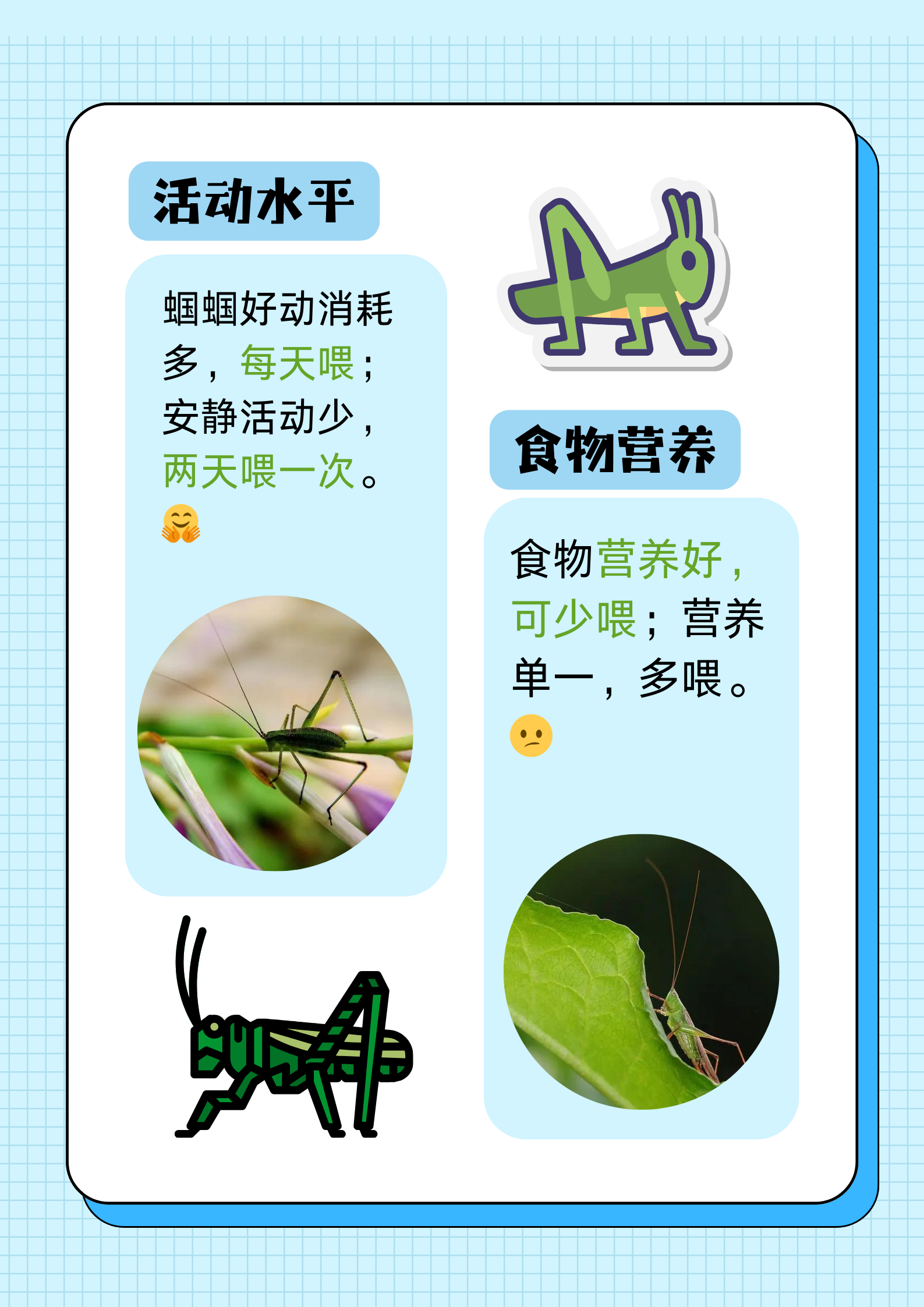 幼年蝈蝈正处于快速生长发育的阶段,对营