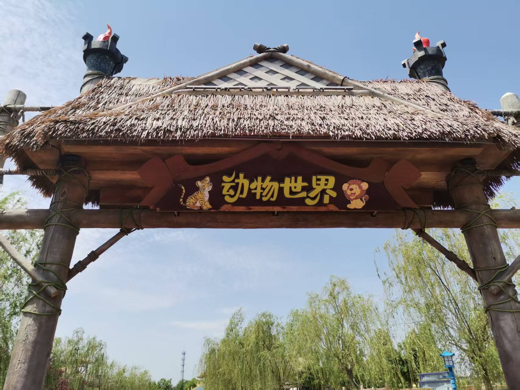 清晨的阳光洒落在动物园的林荫小道上,空气中弥漫着青草与泥土的芬芳