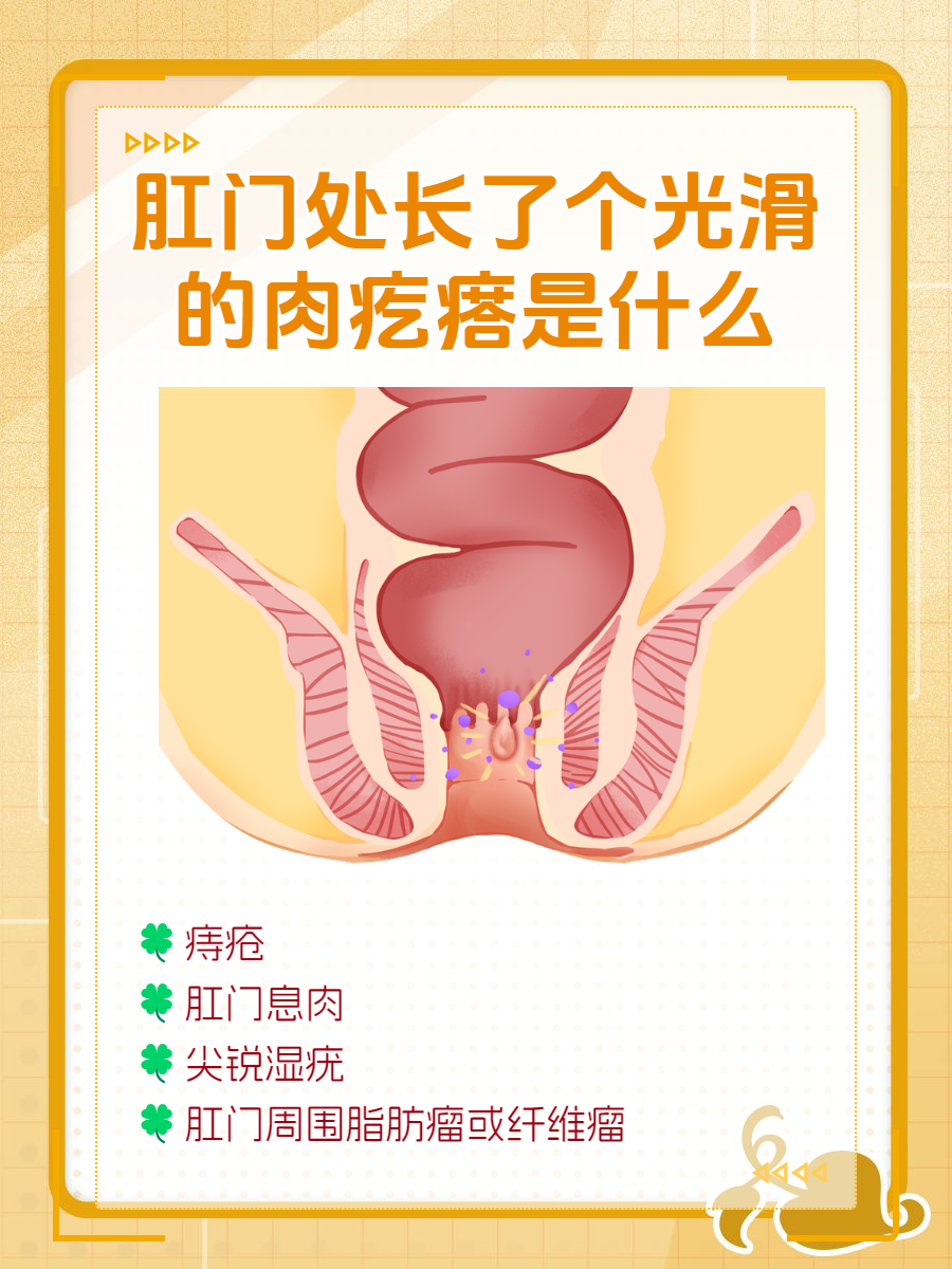 肛门正常与痔疮图片图片