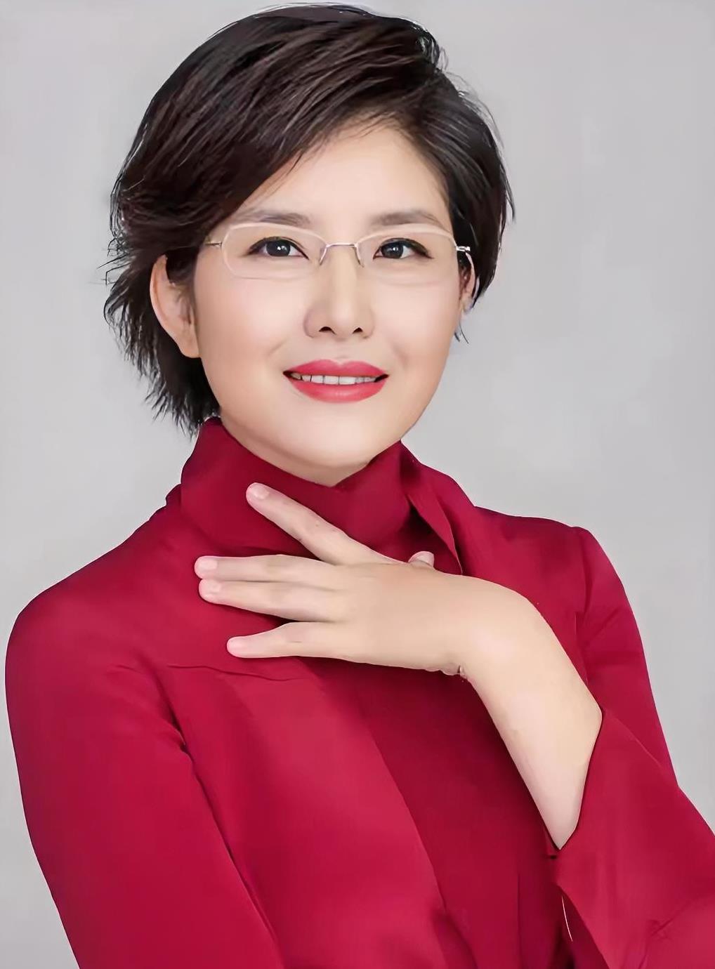 节目主持人中央王宁中央台女主持人电视女主持央视女主播王宁央视二套