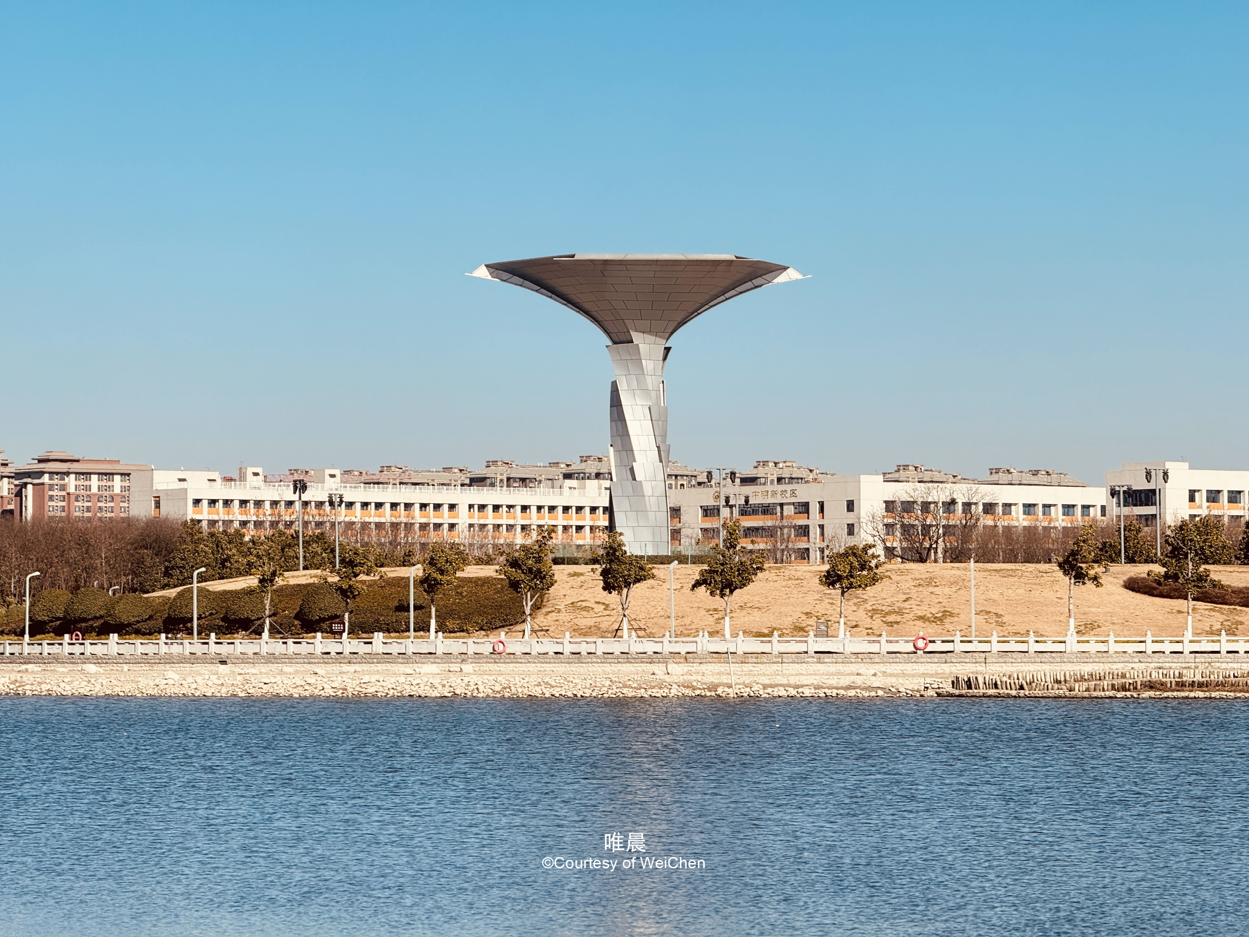 男性和女性在金钱和感情方面的选择有着与生俱来的