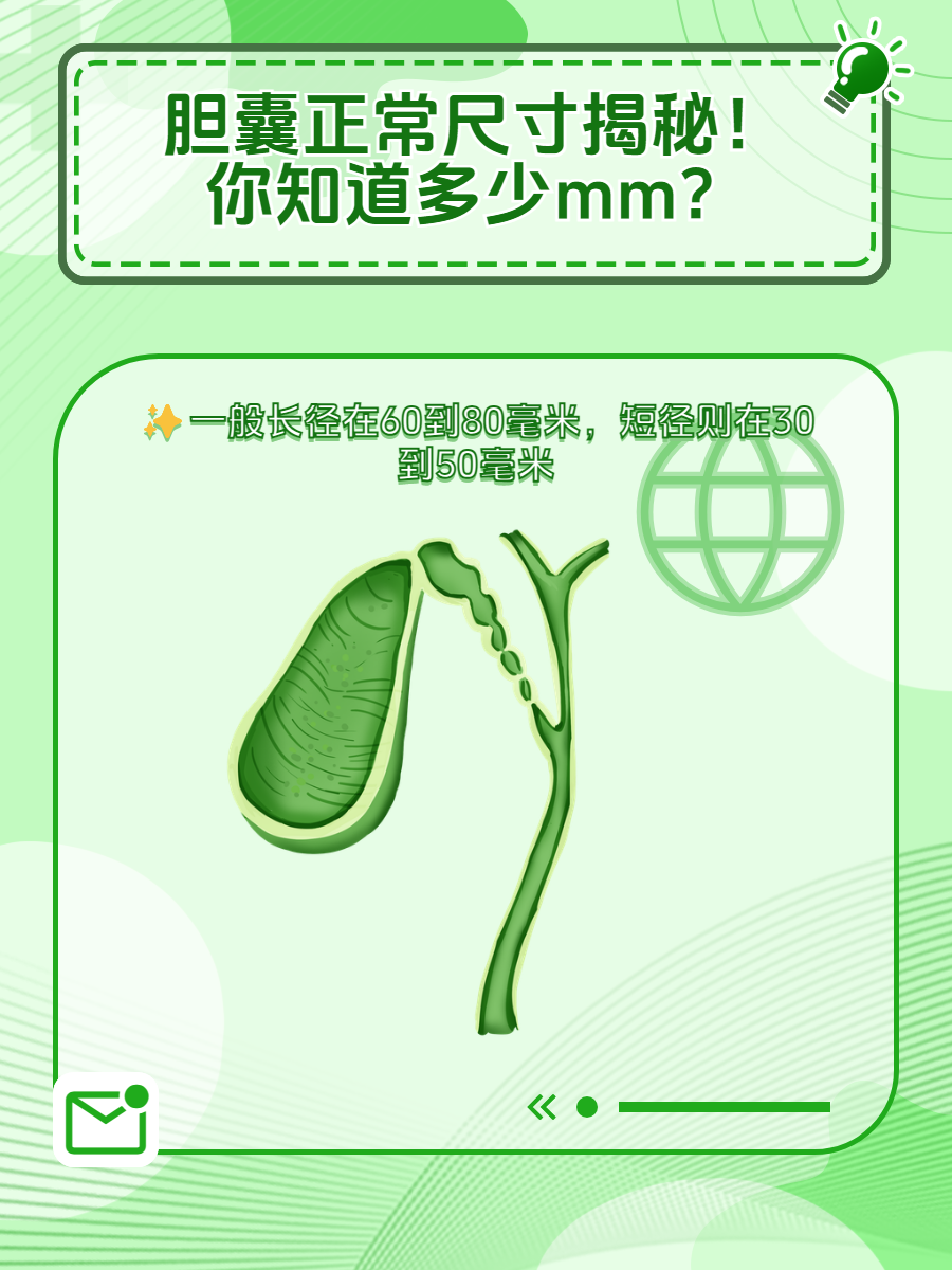 胆囊正常尺寸揭秘!你知道多少mm?