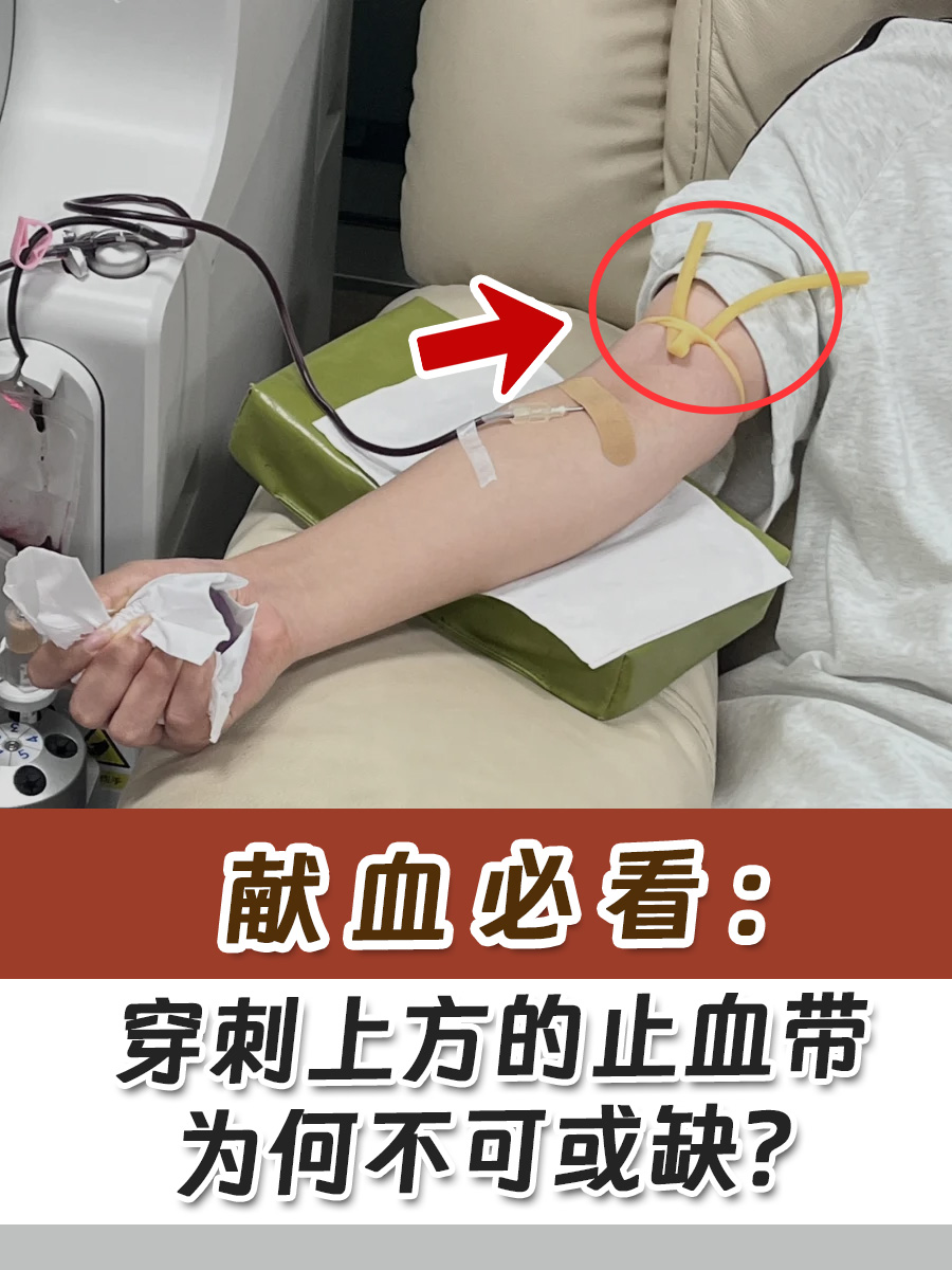 献血必看:穿刺上方的止血带为何不可或缺?