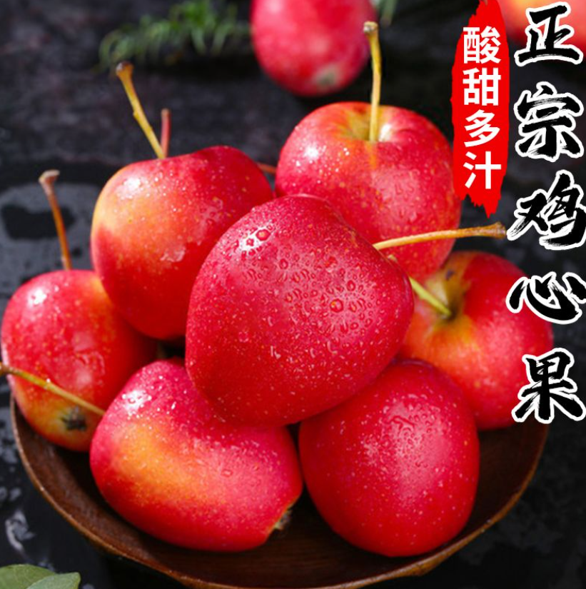 嘿朋友们今天给大家带来一款超赞的水果东北鸡心果