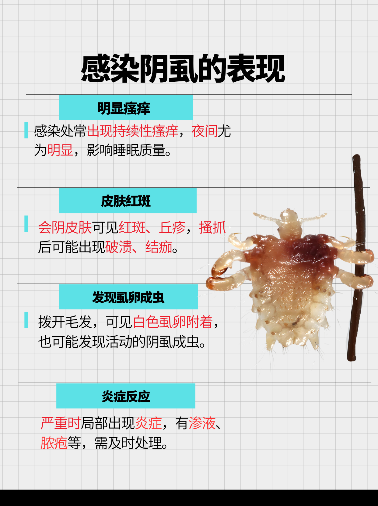 为什么长阴虱子为什么在线