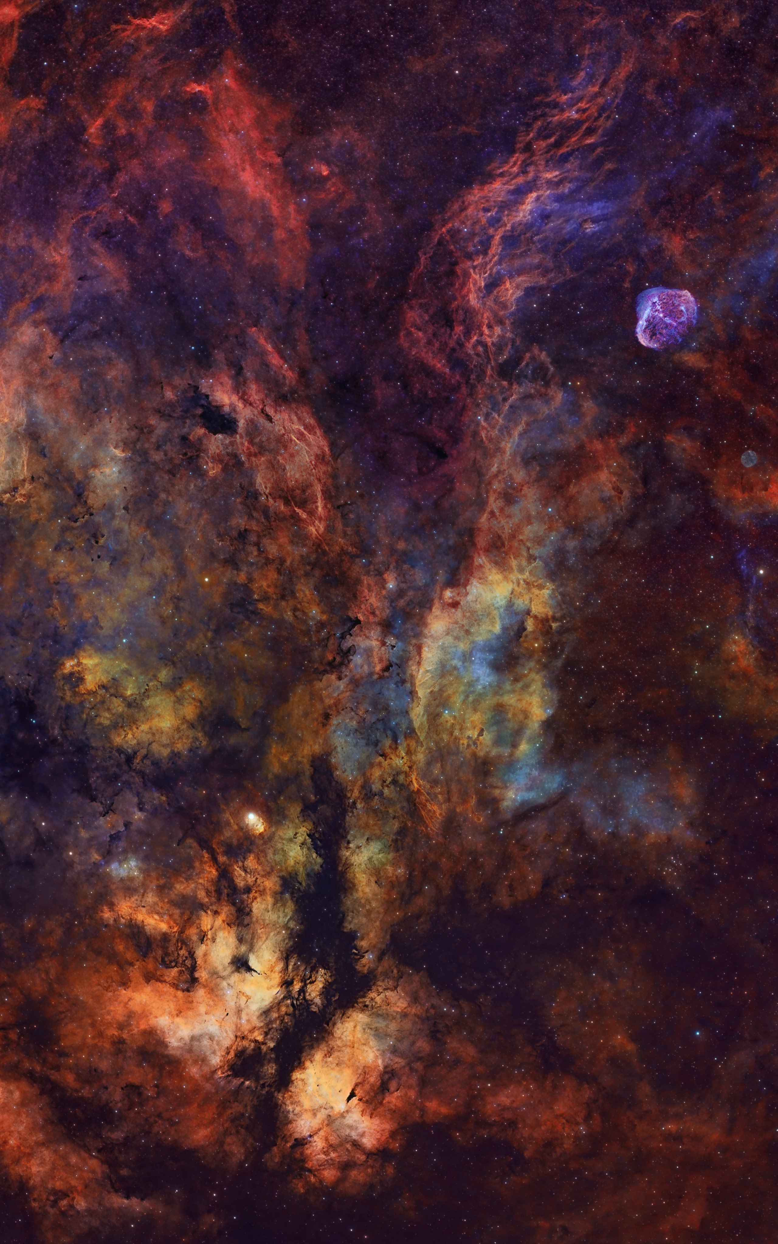 动态连更挑战# 天文摄影师andrew mccarthy拍摄的蝴蝶星云