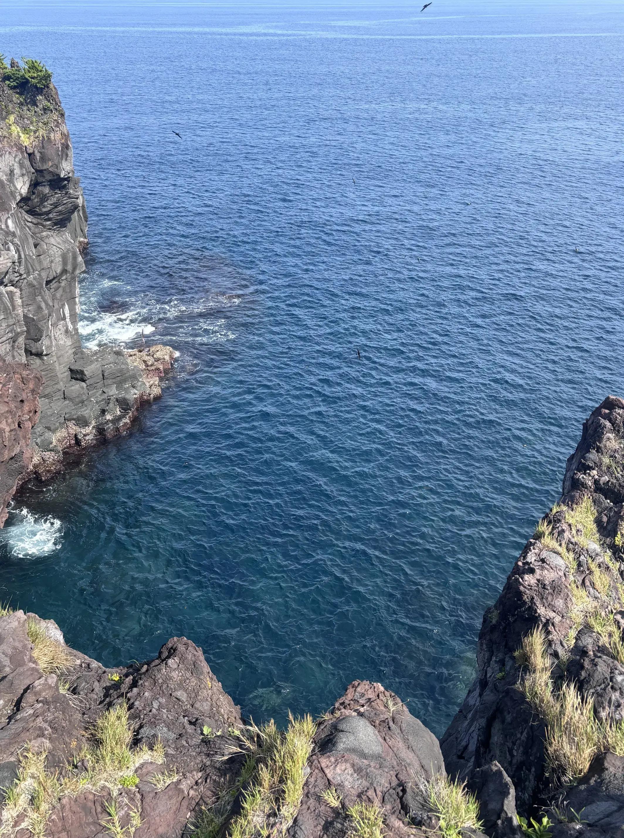 上海的中考真是"数一数二"的特别