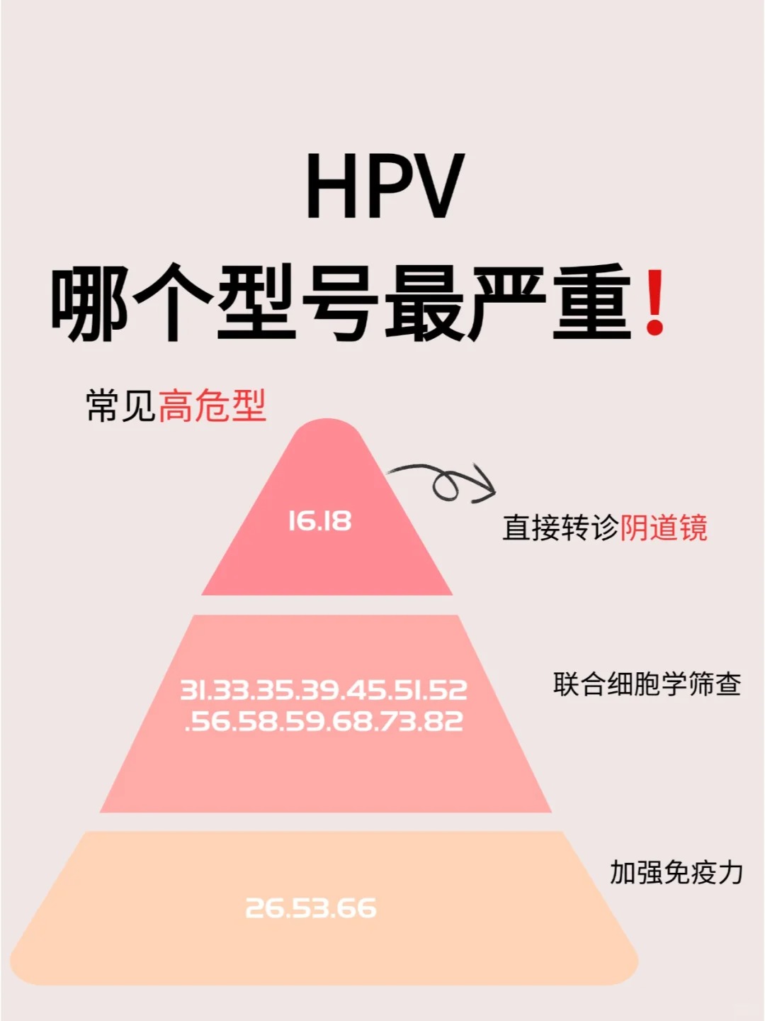 hpvdna图片