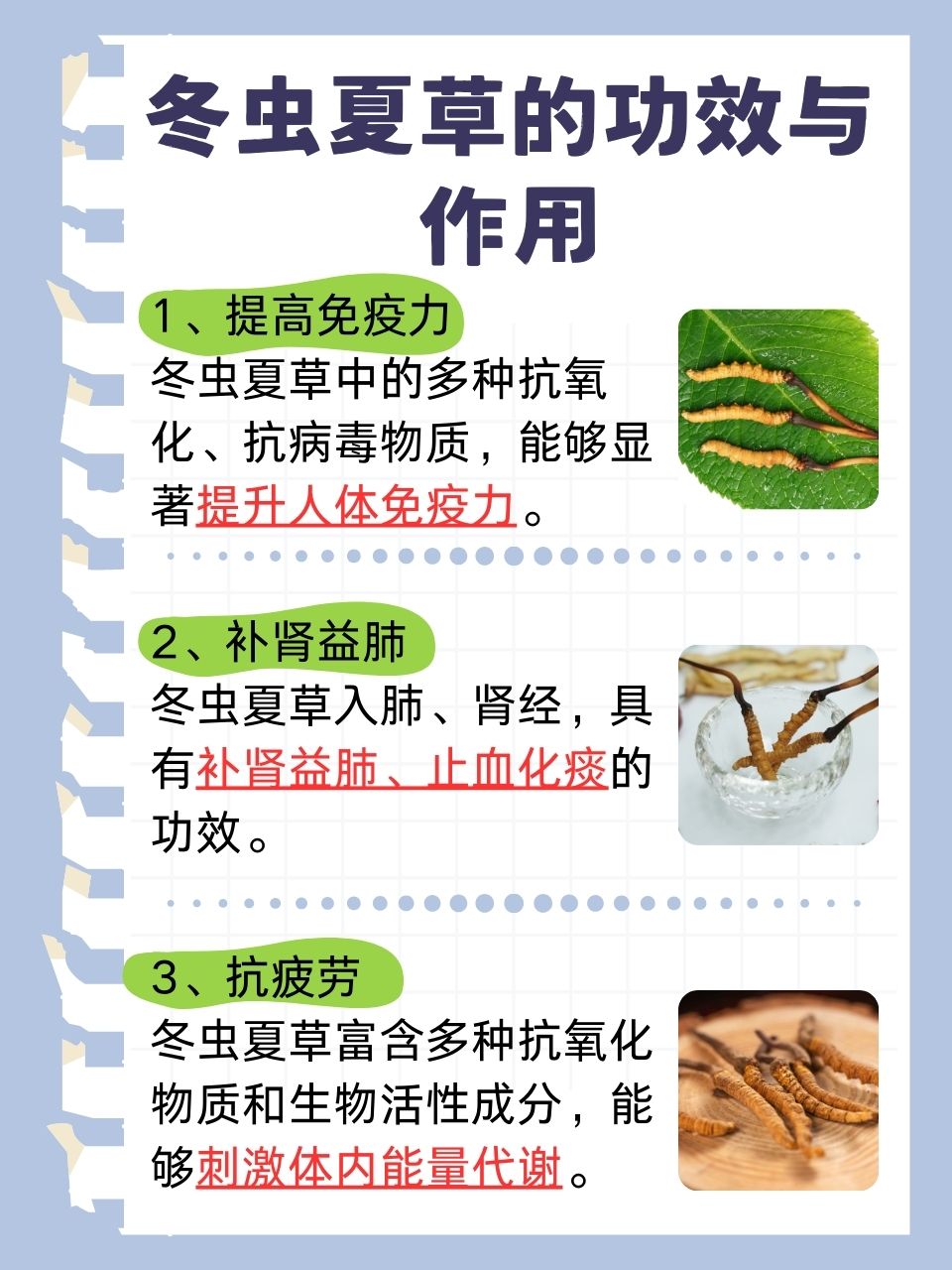 冬虫夏草为什么叫冬虫夏草 冬虫夏草为什么叫冬虫夏草