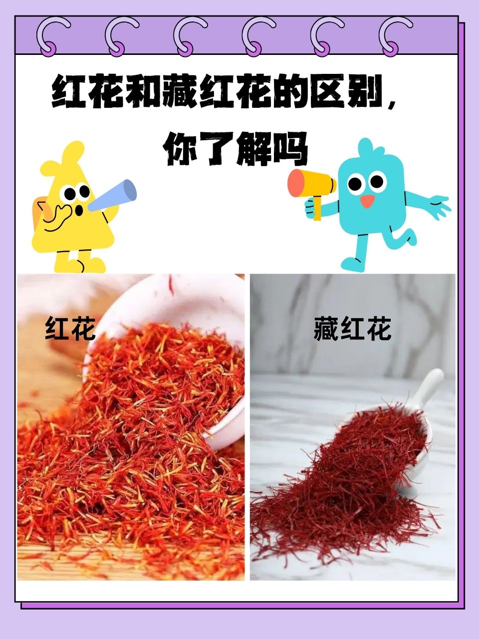 红花和藏红花的区别,你了解吗