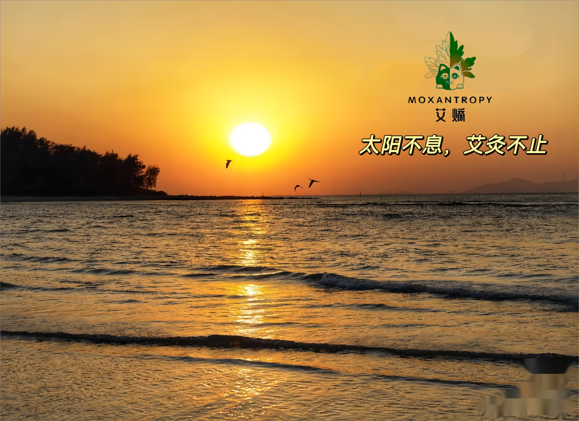 生活方式以太阳为轴心,人类体质普遍阳盛阴衰,因此少见大腹便便的胖子