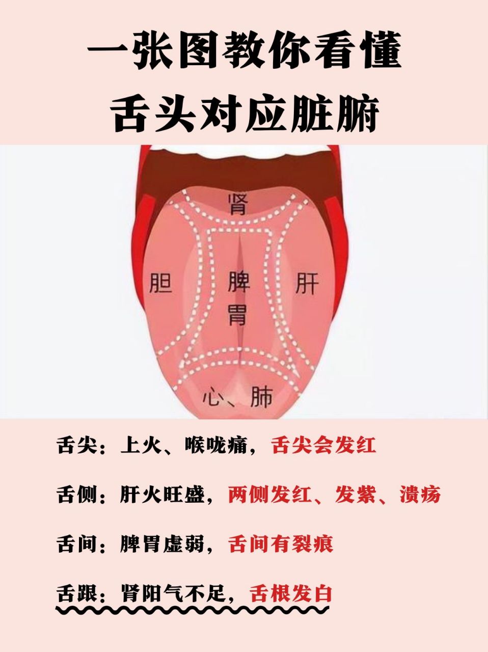 嘴唇对应内脏反射区图图片