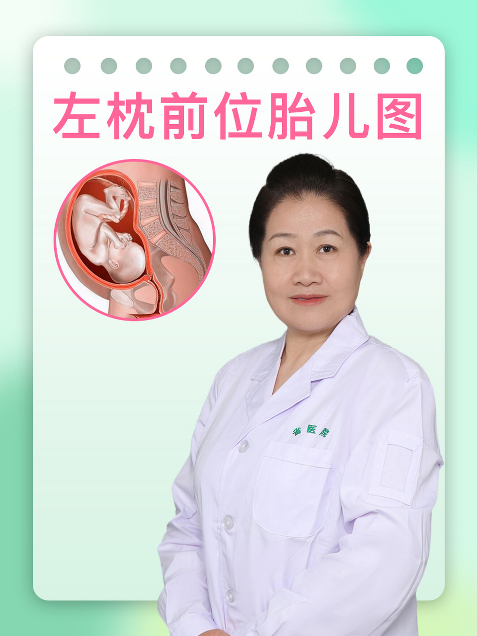 左枕前位胎儿图  胎儿在子宫内的胎位多种多样,其中左枕前位是较为