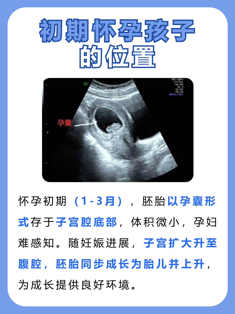 初期怀孕孩子的位置图  👧在怀孕的初期,胎儿的发育情况备受关注