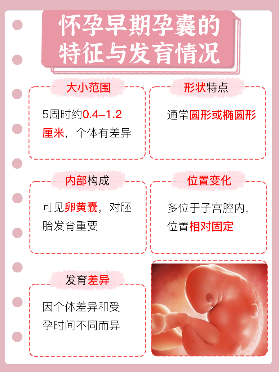 怀孕5周孕囊大小图片  怀孕5周是孕早期的关键阶段,孕囊的大小有着