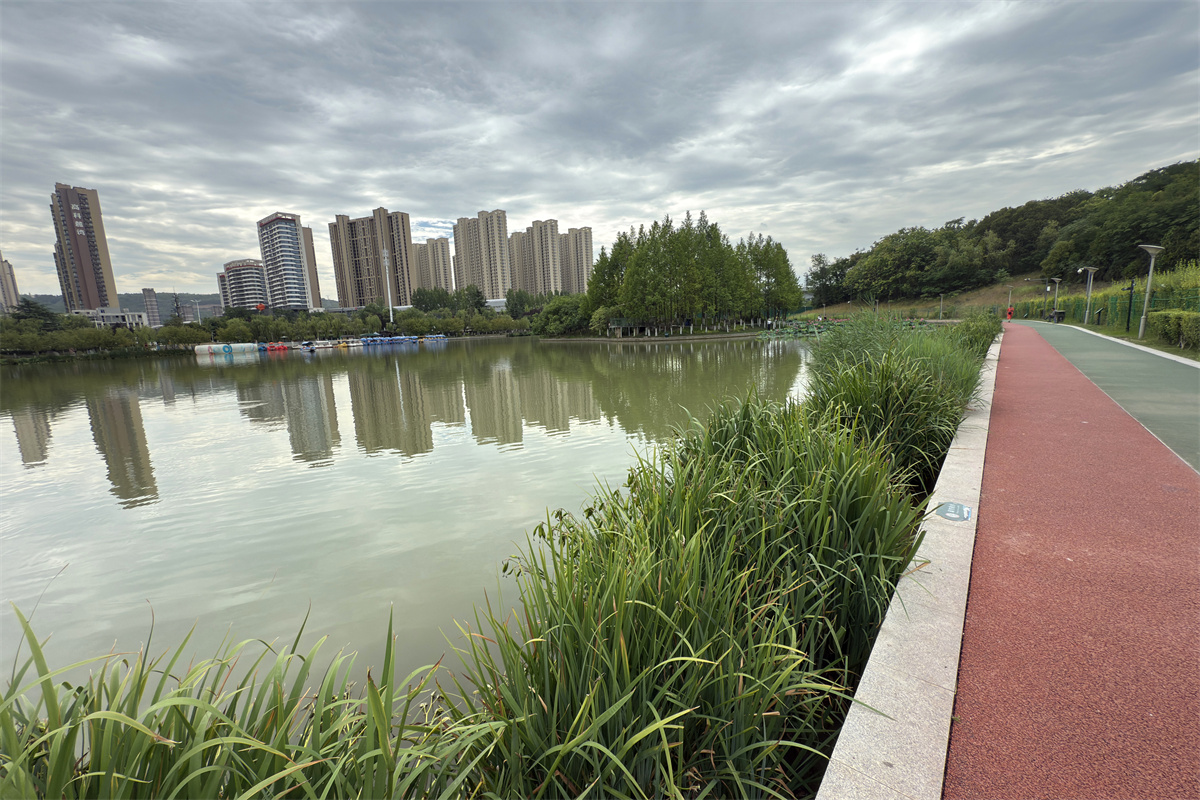 西安市雁鸣湖,这颗镶嵌在浐河西岸的生态明珠,位于浐灞生态区核心地带