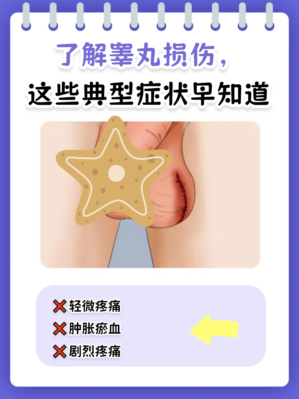 哪些表现说明睾丸出了问题?该怎么治疗?一文带你全面了解!