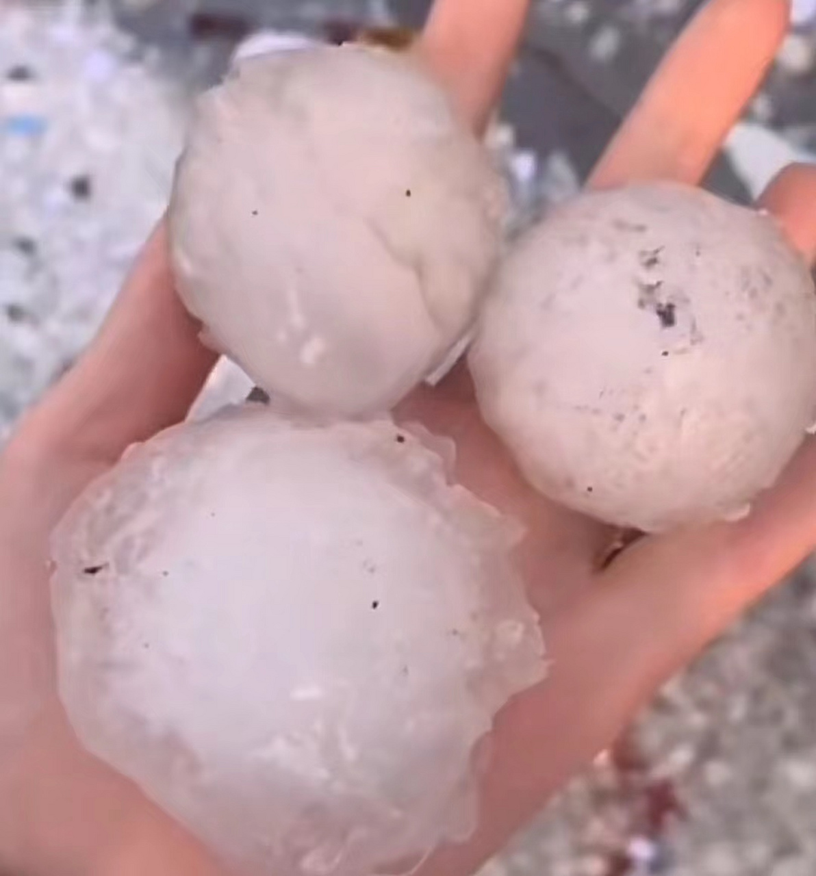 河北保定市清苑区不幸遭受严重冰雹袭击