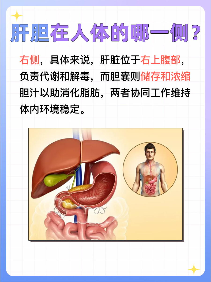 在身体内部