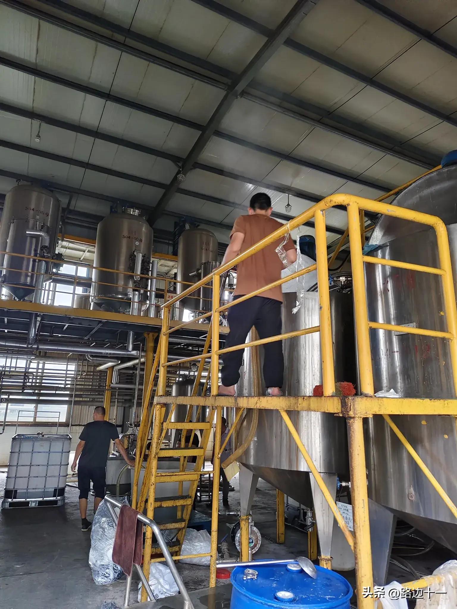 她问我:"快填志愿没?都报了哪些学校?