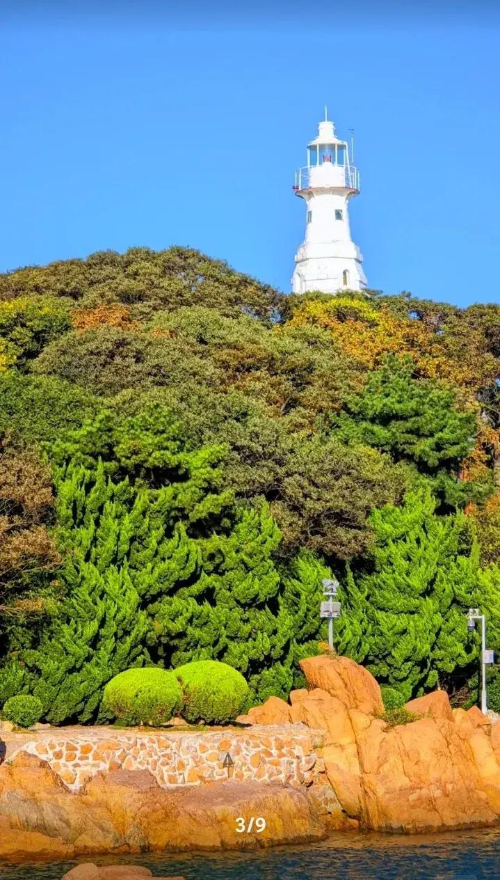 青岛的天气总像个变色龙,连着几天的雨让人心情也跟着阴沉沉的