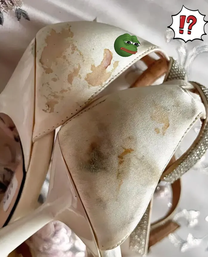 可今天早上,我一看鞋子,完全傻