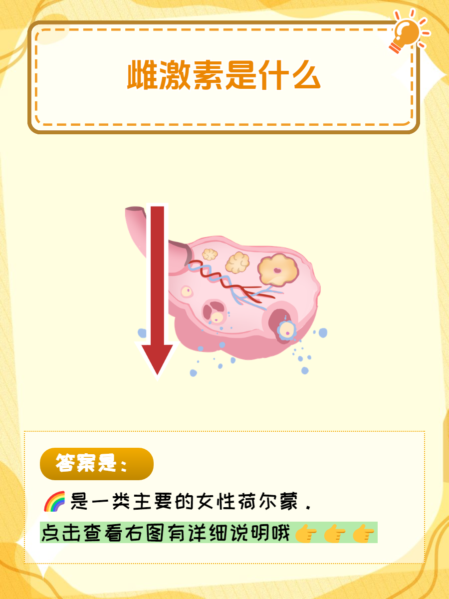 雌激素是什么?
