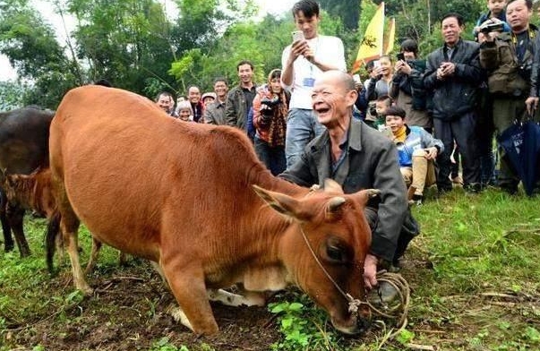 把握杀生能超度动物的-杀生动物对命运有影响吗 把握杀生能超度动物的-杀生动物对命运有影响吗