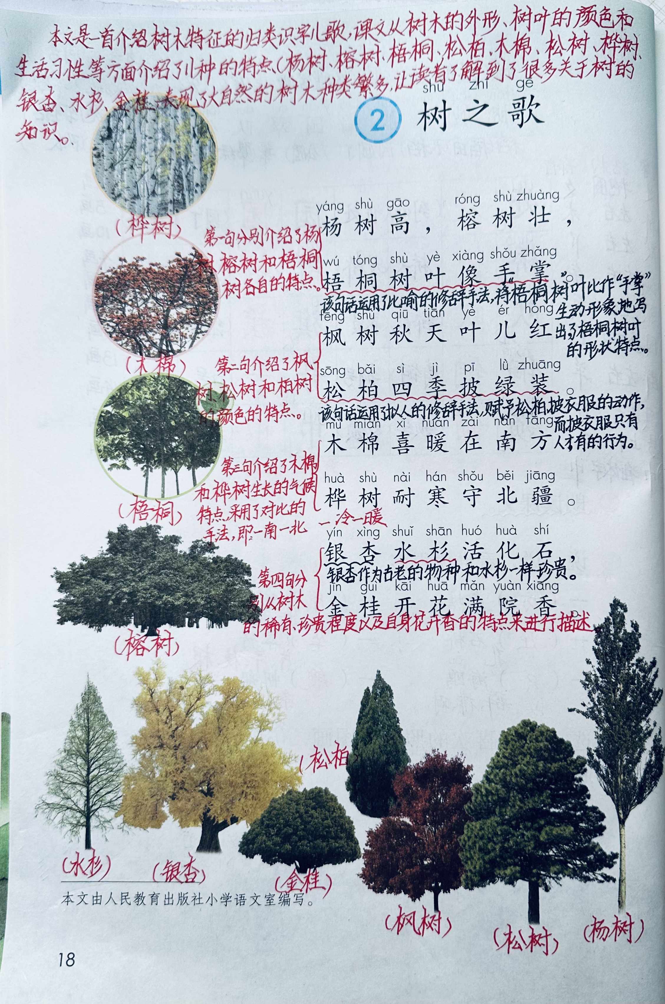 《树之歌》:笔记,知识点,课后习题答案