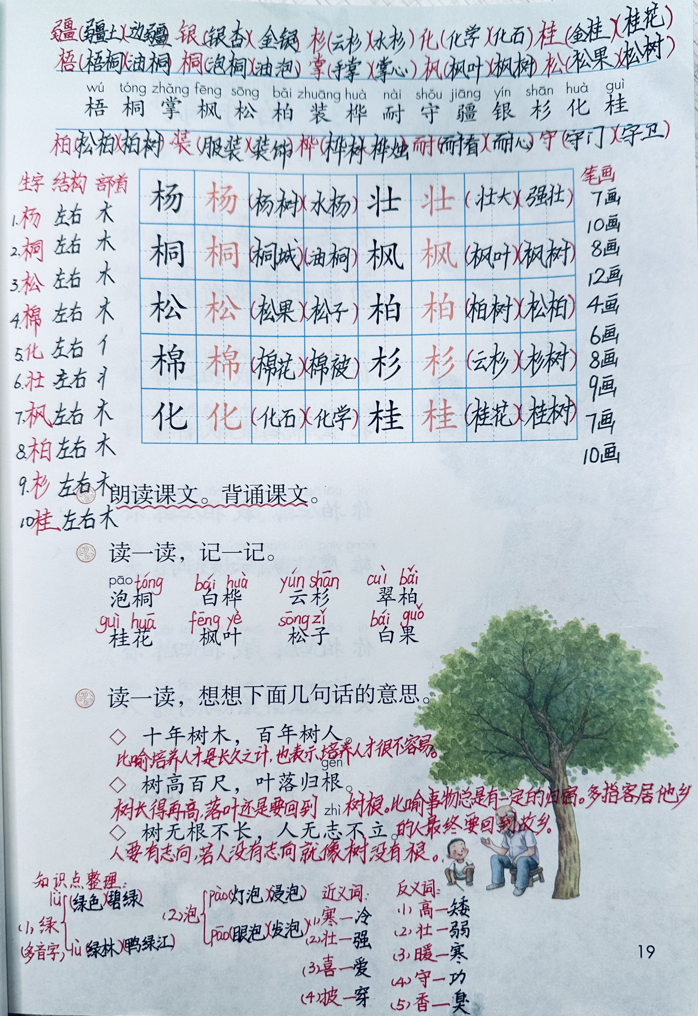 《树之歌》:笔记,知识点,课后习题答案