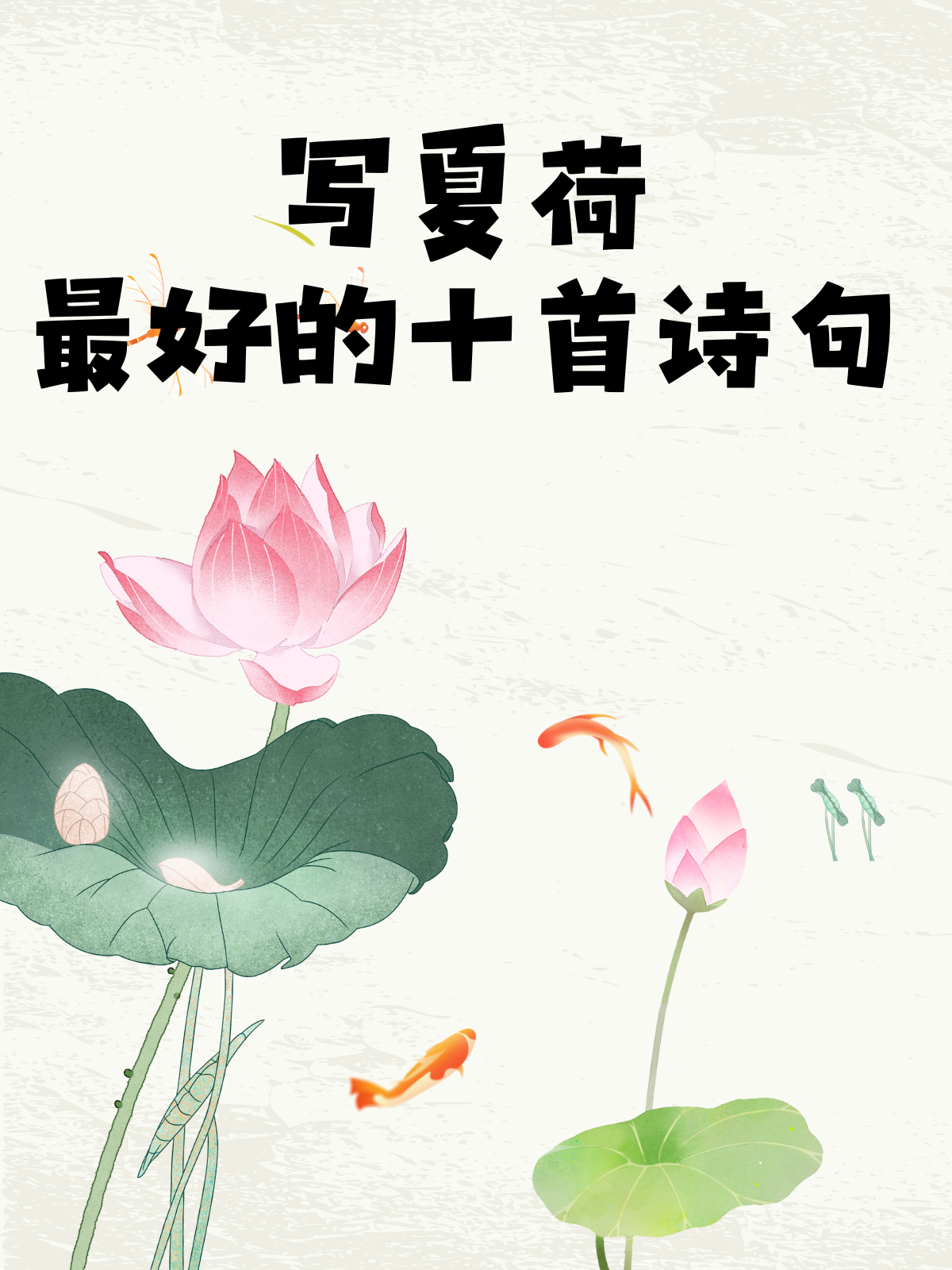 荷花的现代诗原创图片