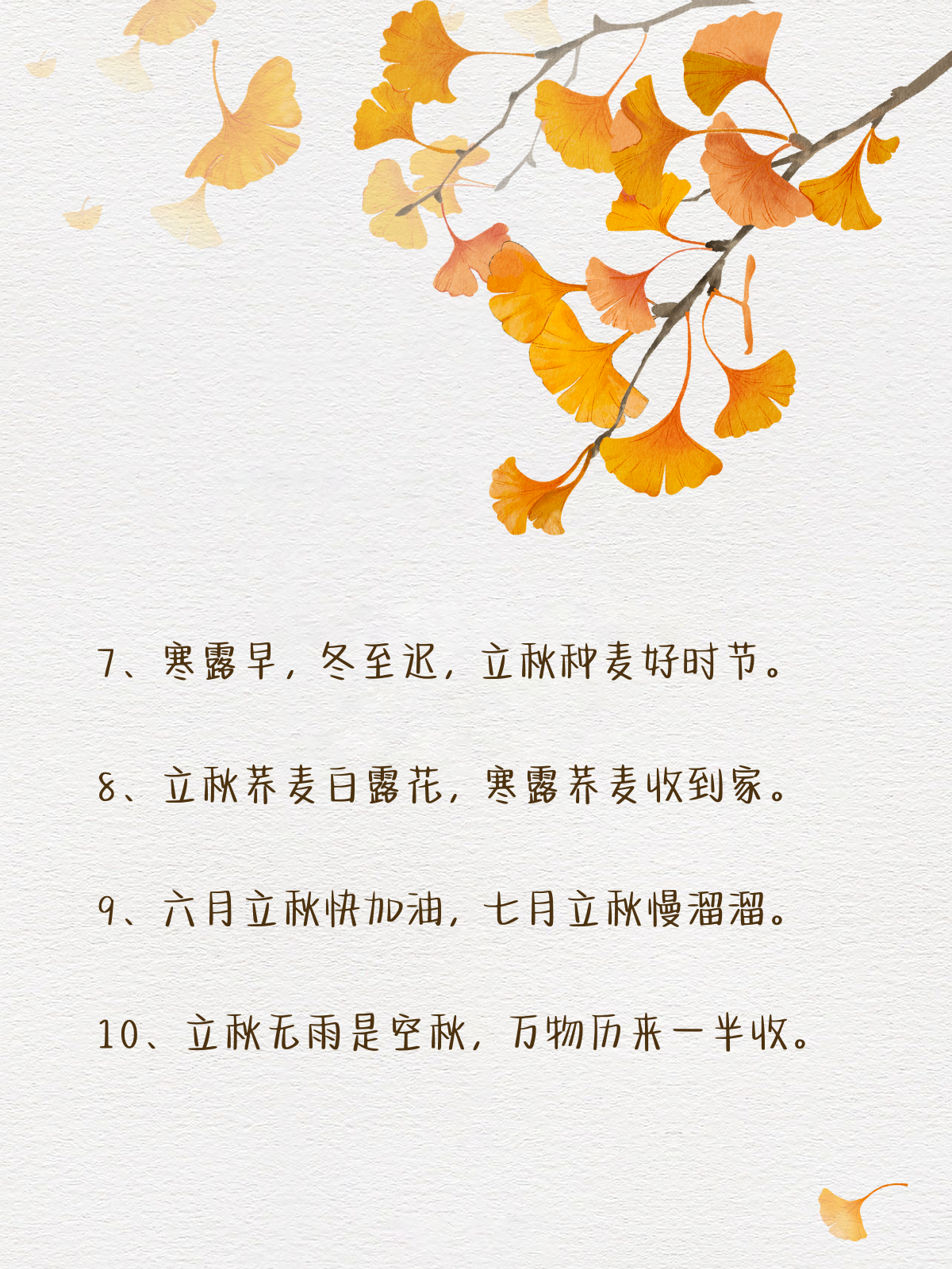关于立秋的谚语10条
