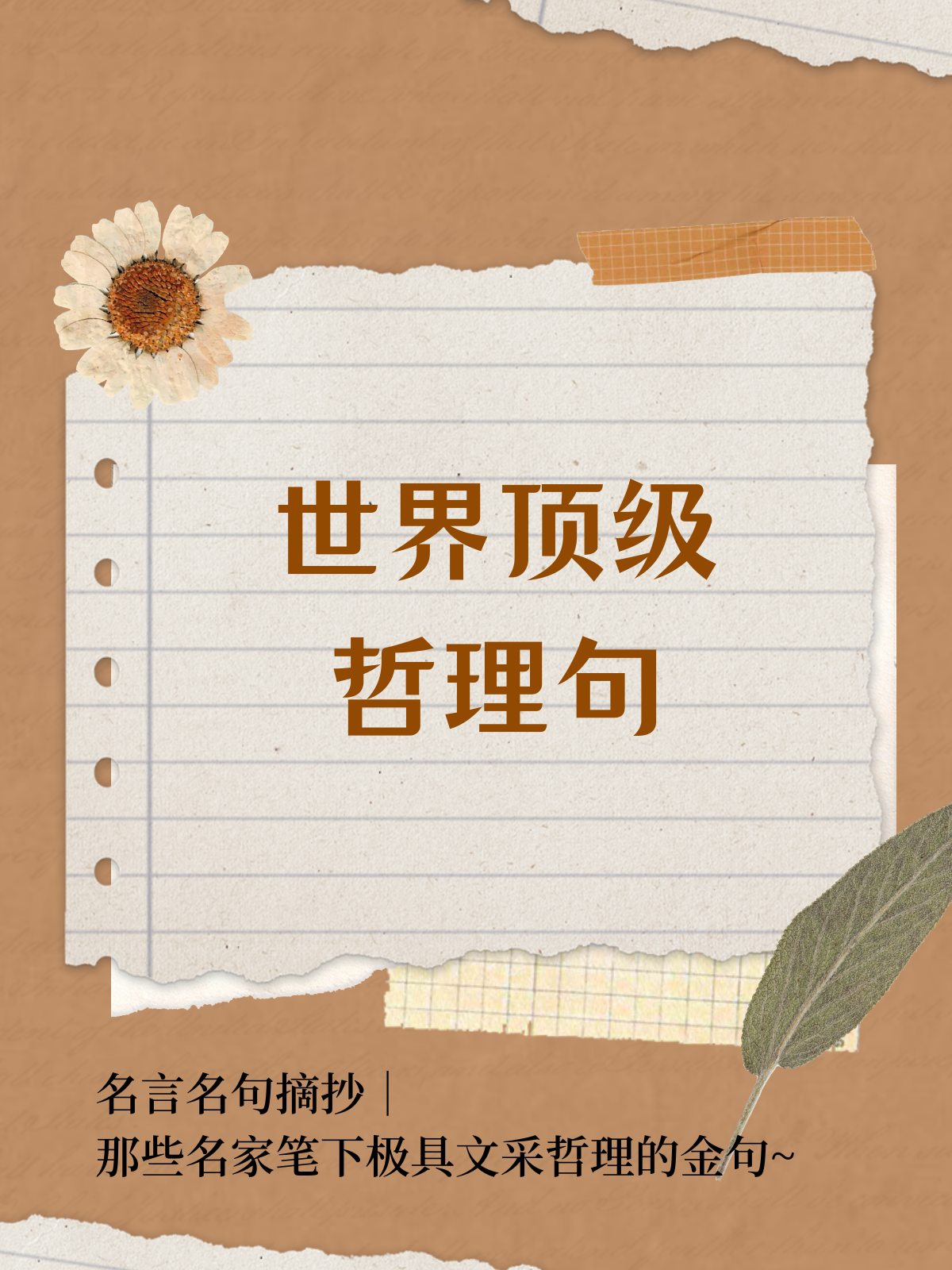 哲学优美的句子简短摘抄(哲学优美的句子简短摘抄大全)