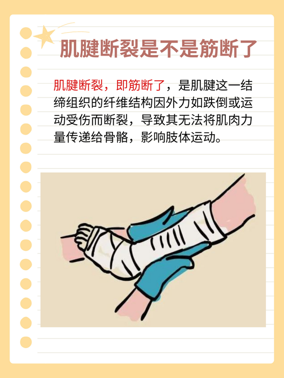 揭秘区别与治疗 97你是否曾在运动中遇到肌腱断裂的情况,但又对"筋