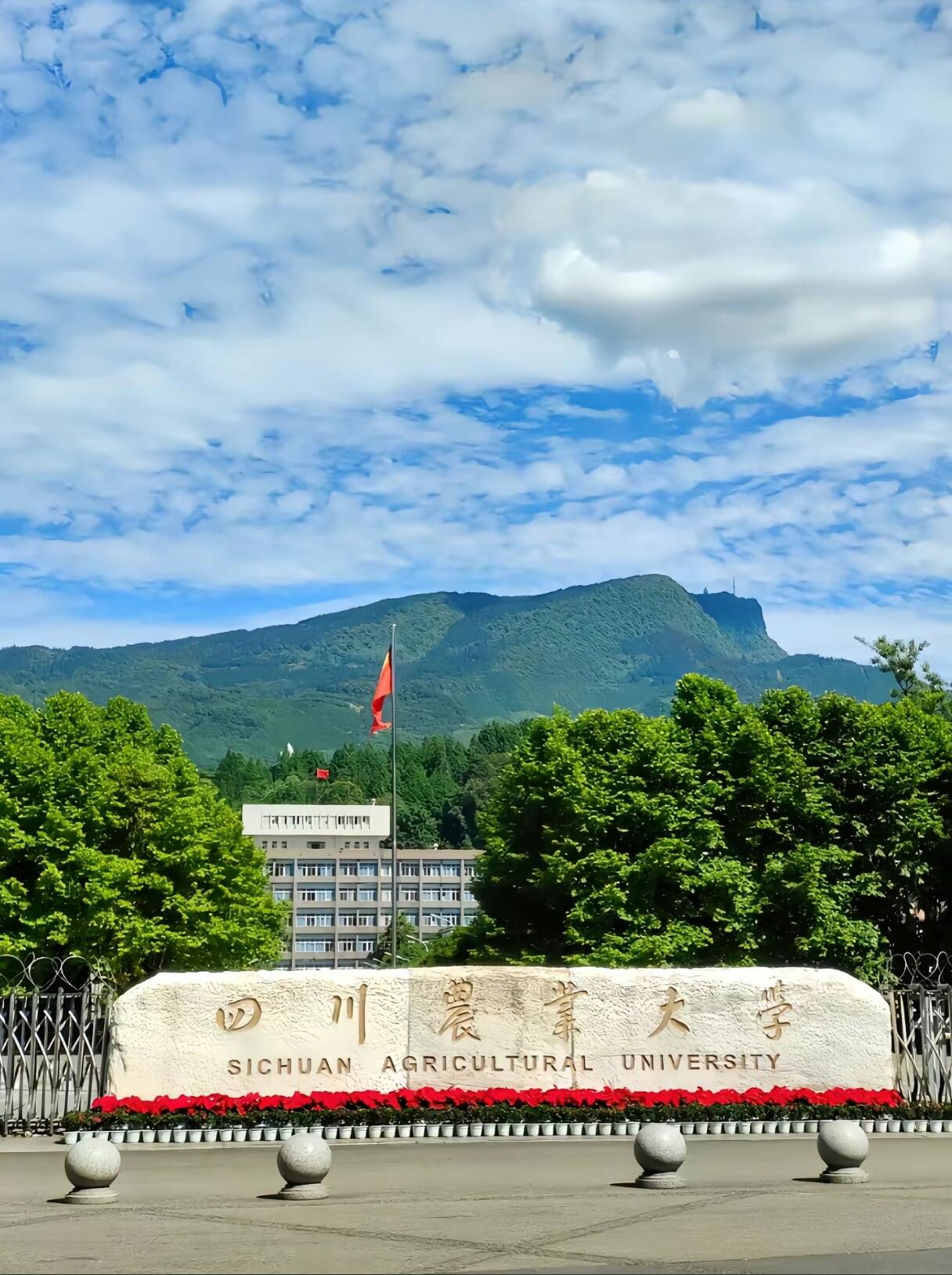 四川农业大学人文学院图片