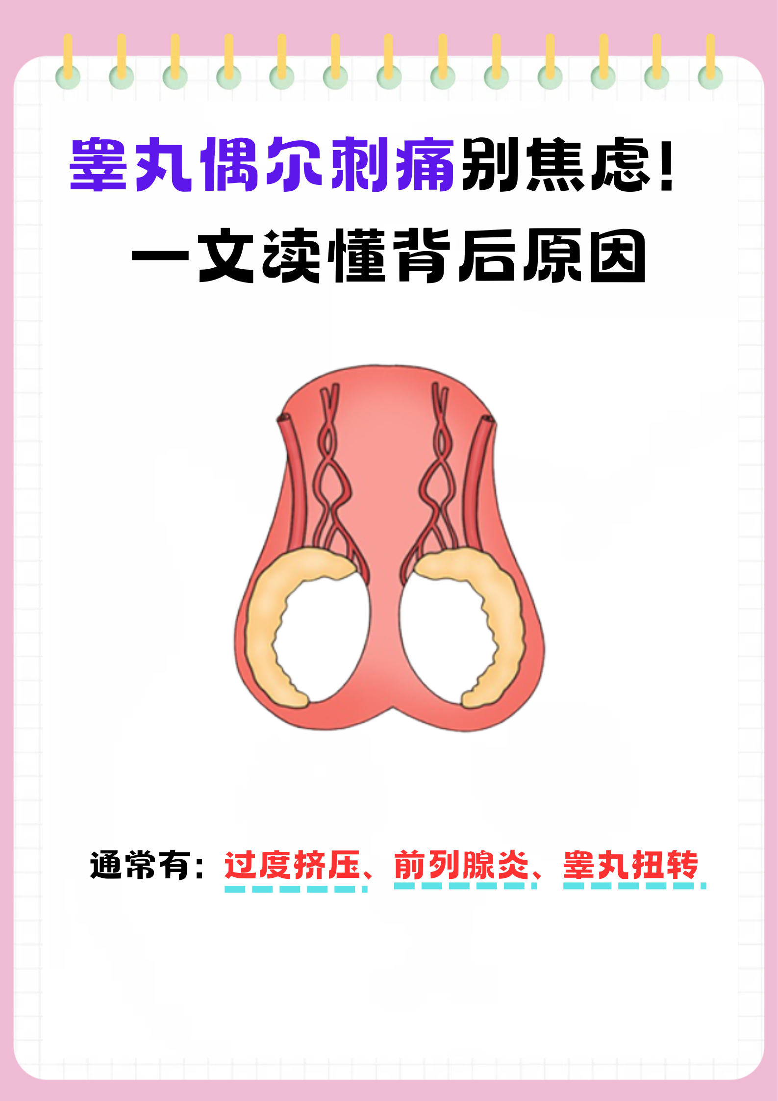 为什么睾丸疼痛,做了b超没有什么异常?百科在线