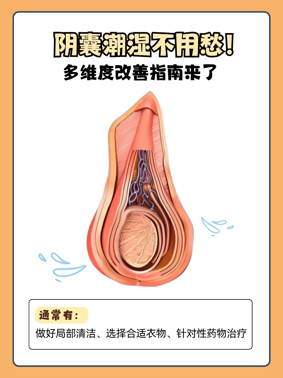 为什么阴囊总是潮湿