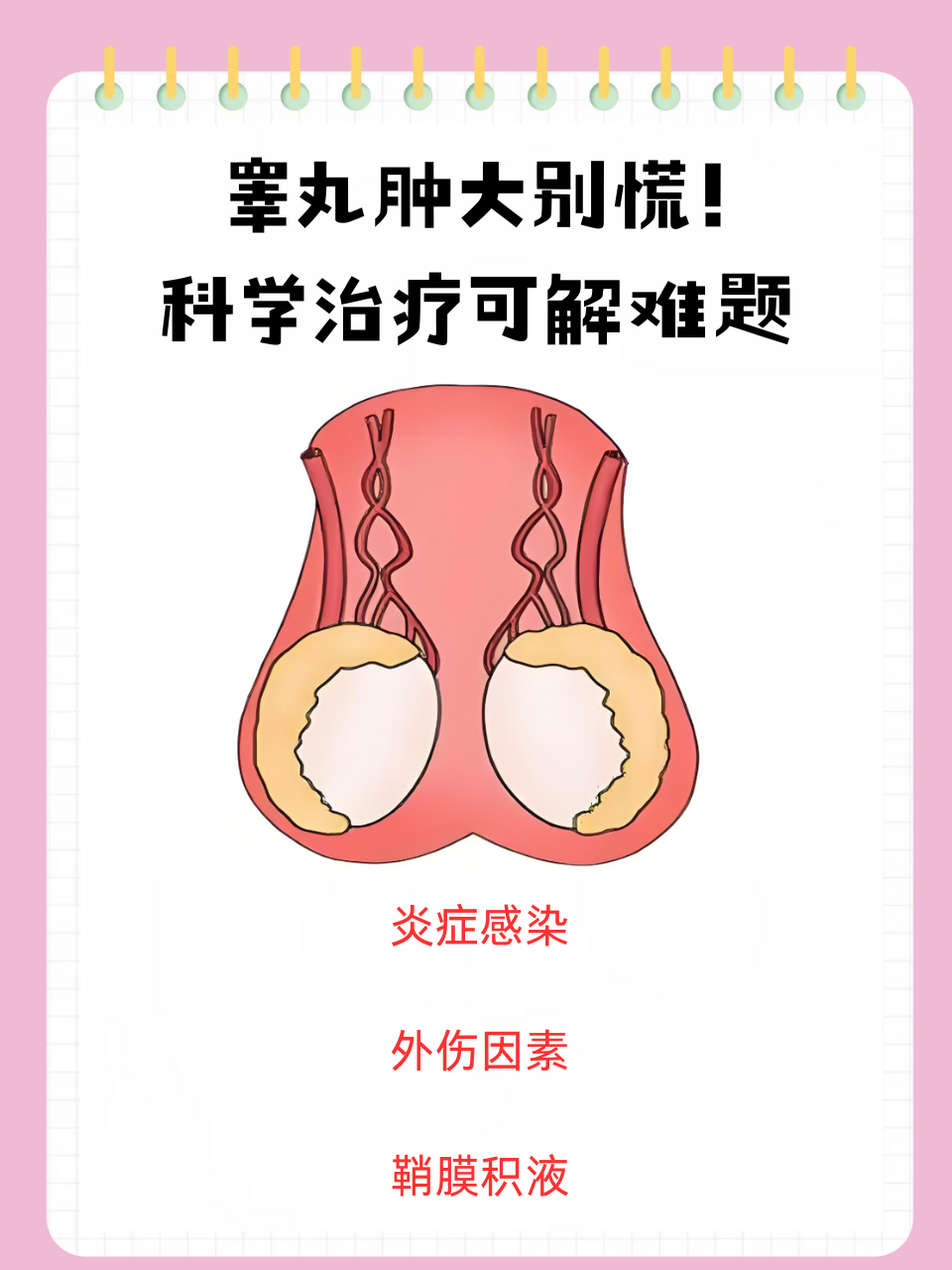 睾丸肿大的治疗效果与病因,病情严重程度以及治疗及时性密切相关