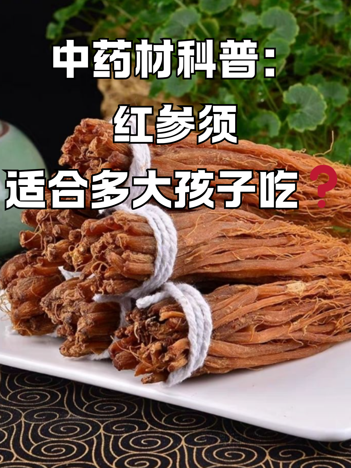 红参须药效图片