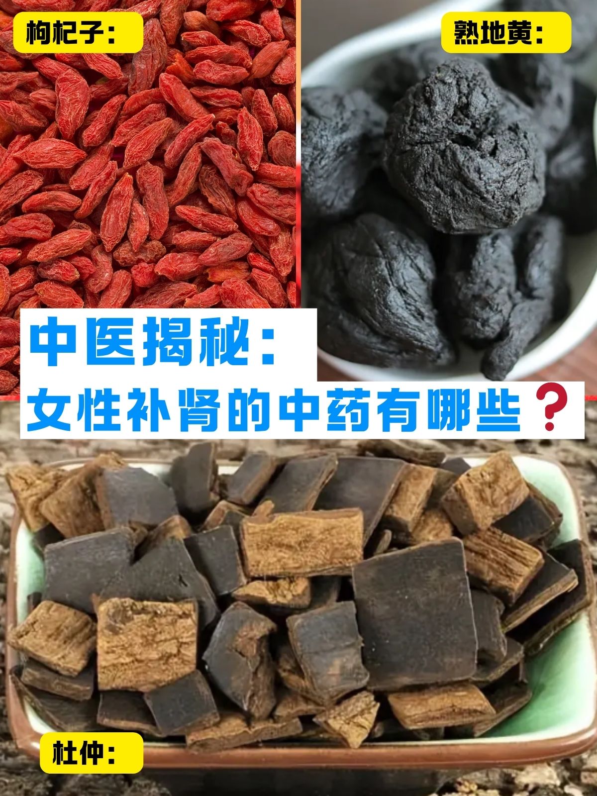 女人补肾最简单的方法吃什么药(女人补肾最快的方法是女人补肾药)