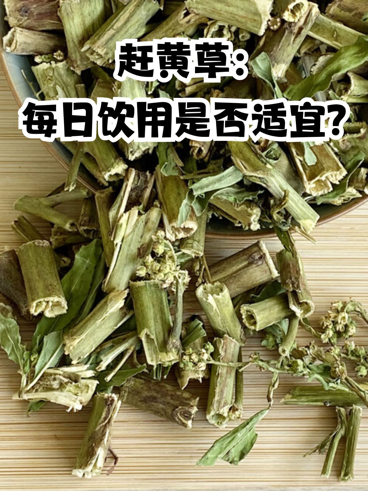 扯根菜的功效与作用图片