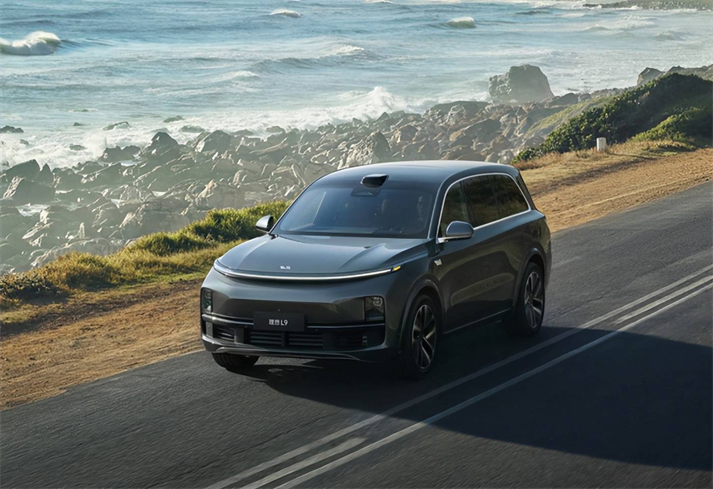 二,中产阶级. 三,家里有好几辆车,理想买着玩的.