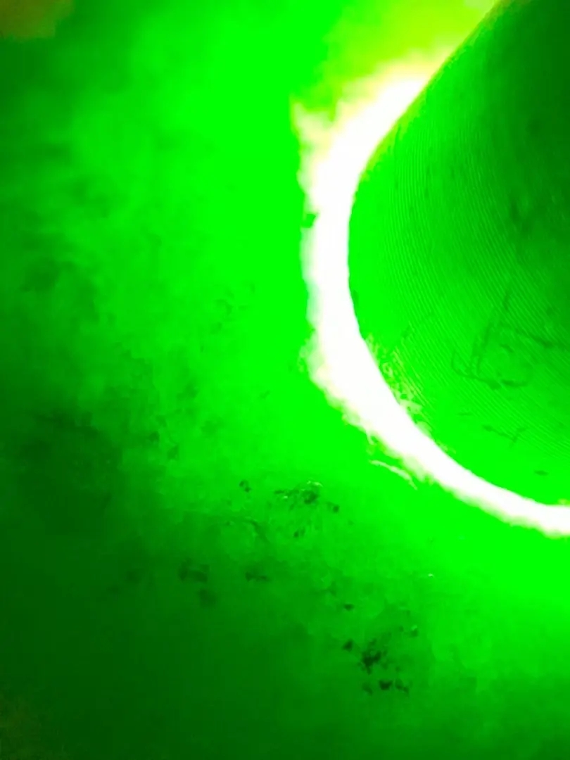 深褐的石皮上,绿丝如同藤蔓般攀附生长,在凹凸不平的石面上勾勒出独特