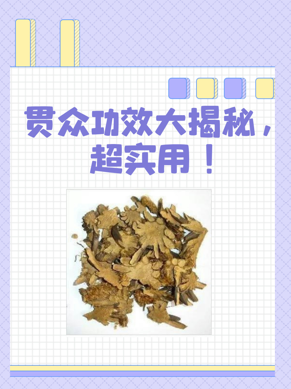 贯众功效大揭秘,超实用!