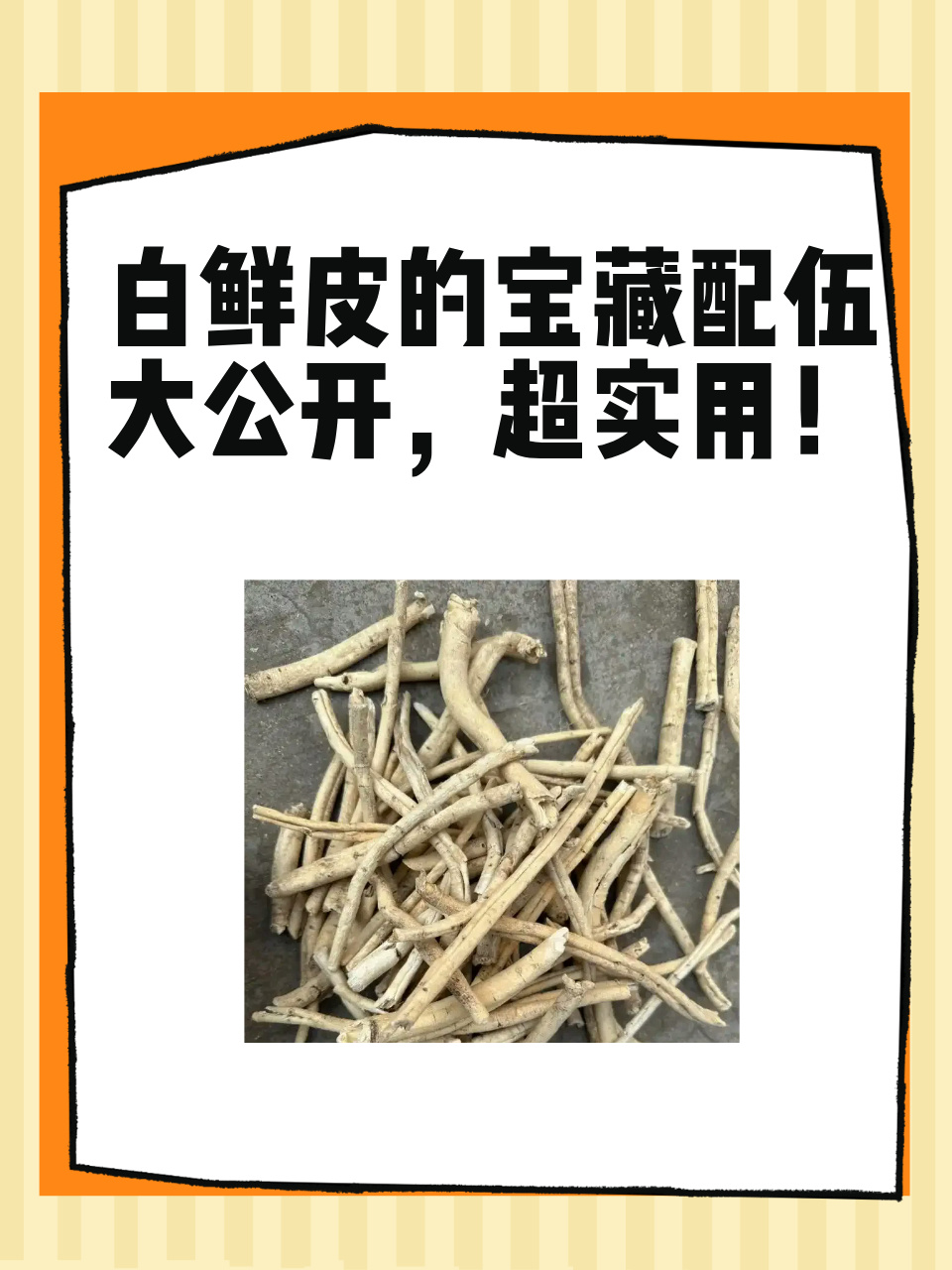 今天来唠唠白鲜皮这个神奇的中药材～它本身就有超多厉害的功效,要