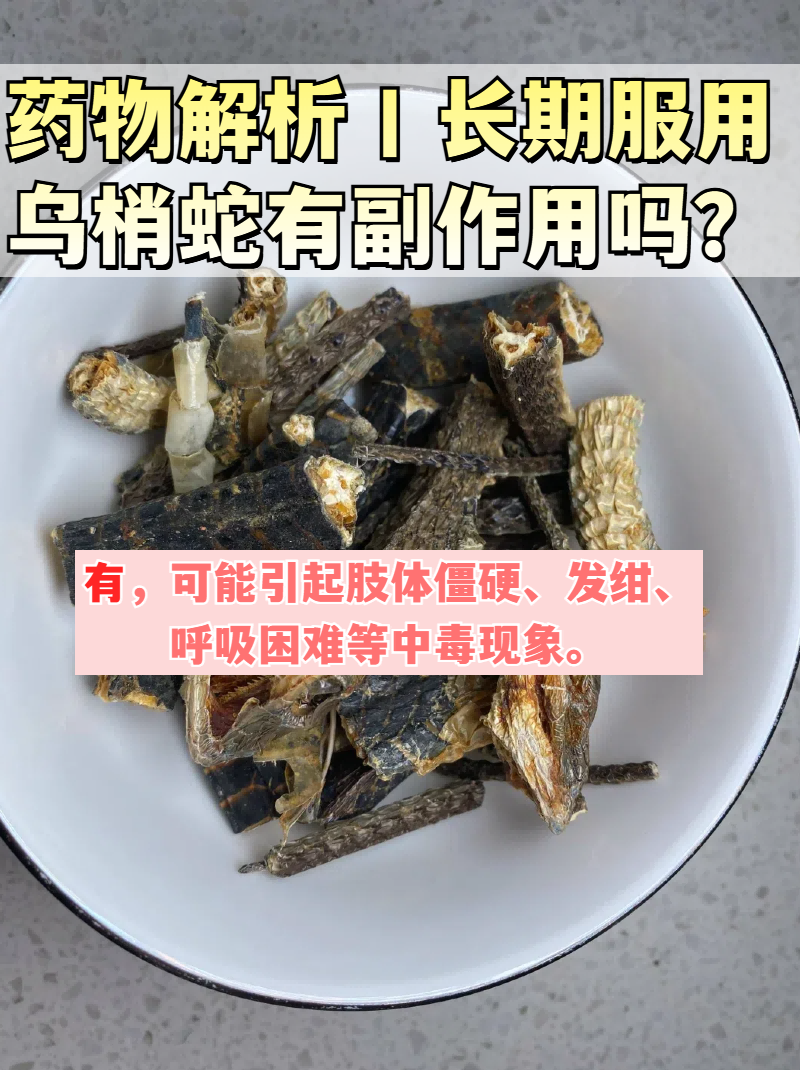 乌梢蛇有什么功效作用图片