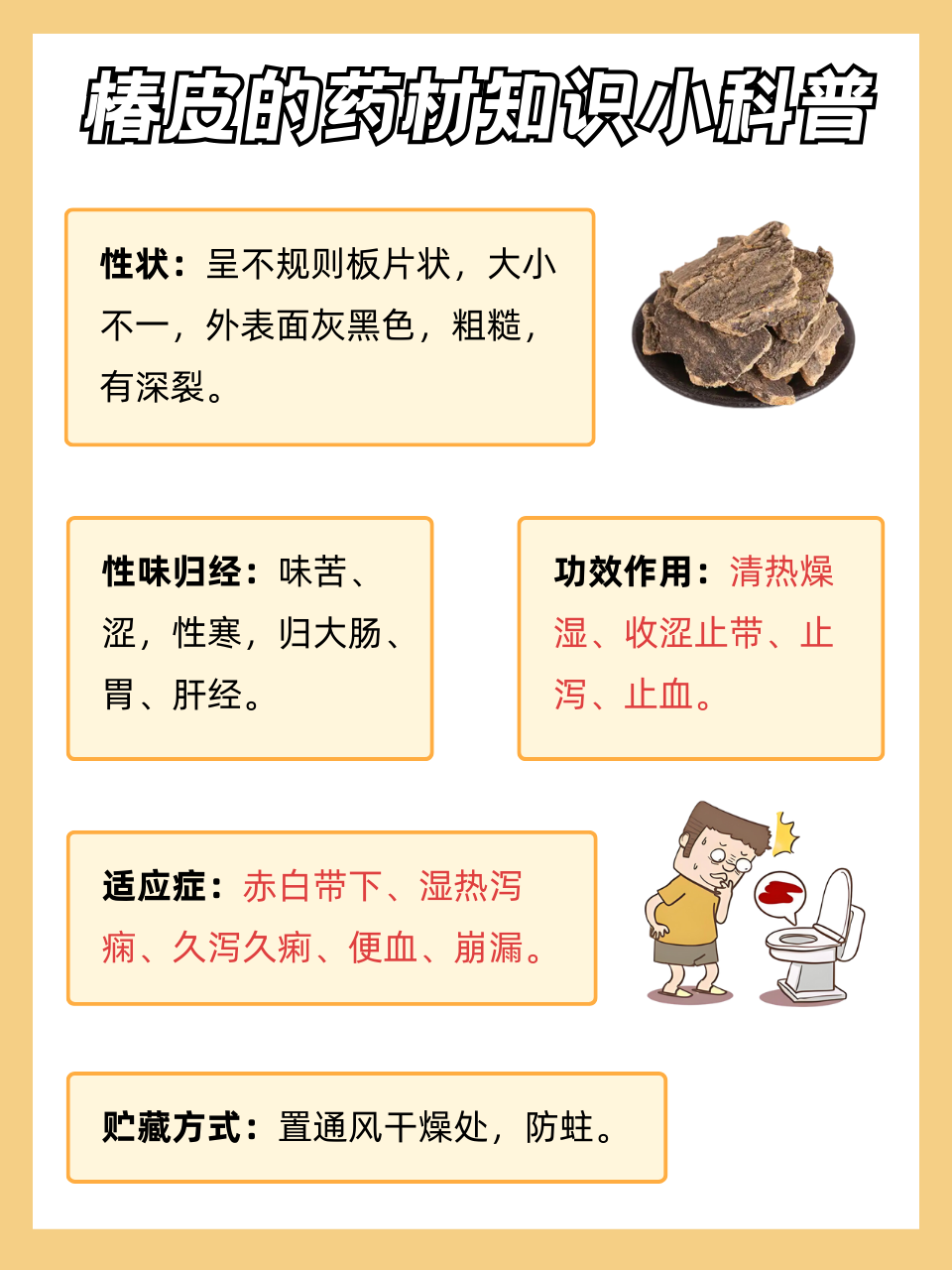 臭椿树竟有这些功效?点击查看!