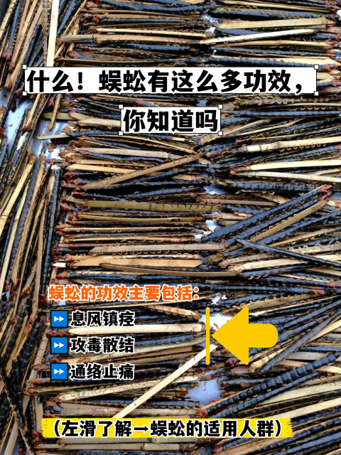 蜈蚣有这么多功效,你知道吗