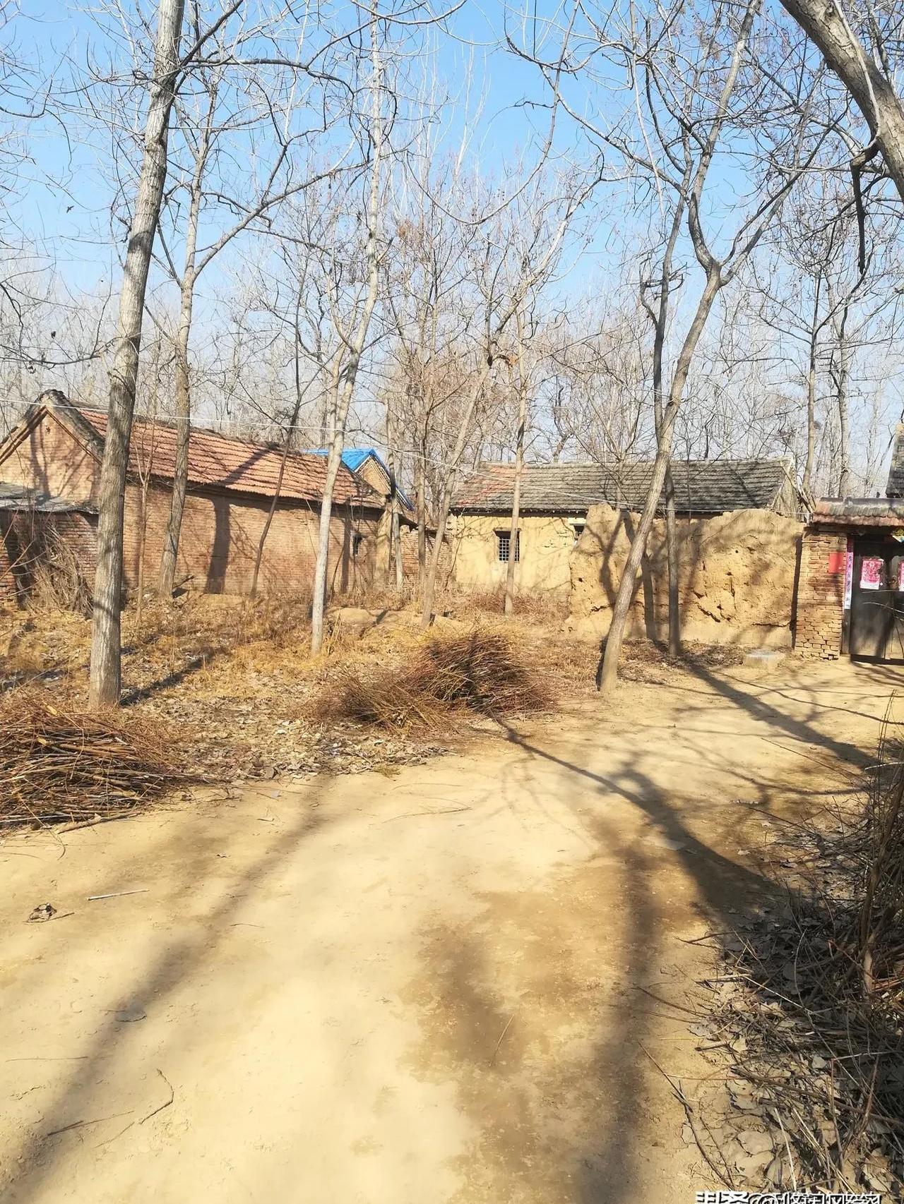 他们异口同声说的依据是:烟台威海农村房子破,和他们鲁西南没有办法