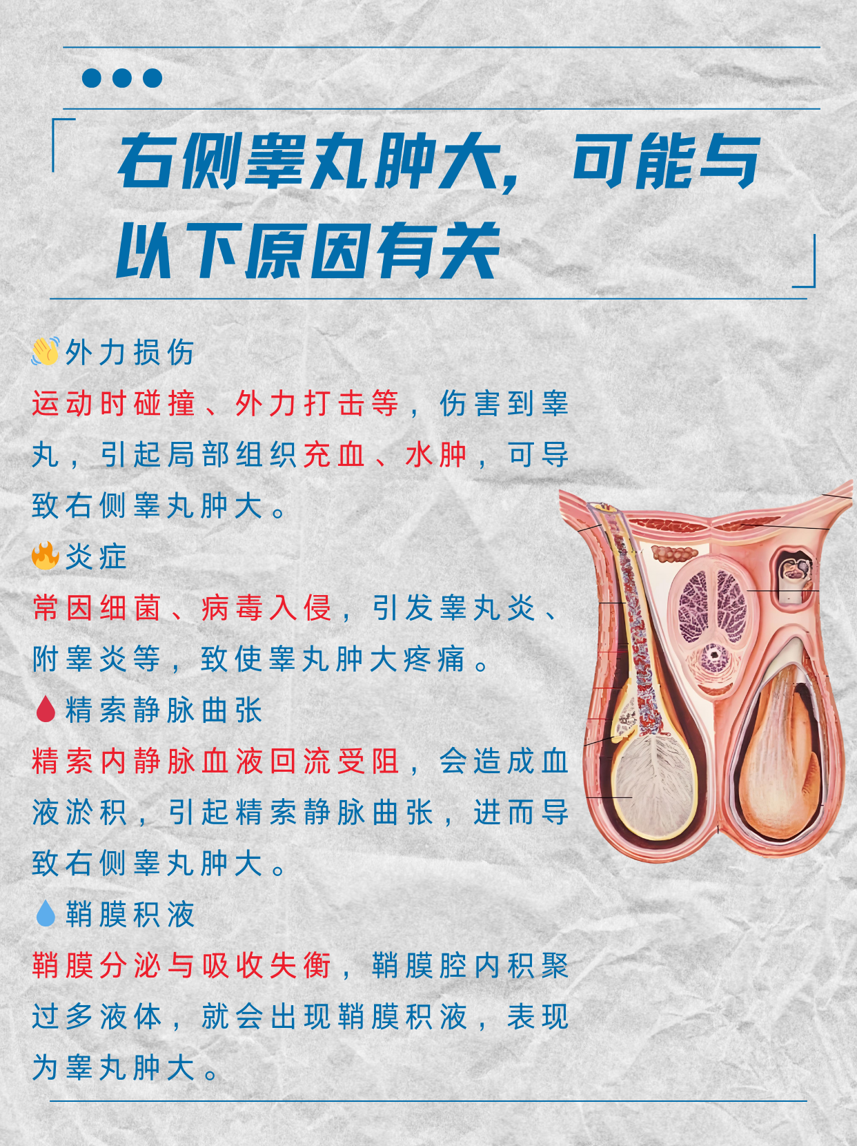右侧睾丸肿大,这可把不少男性朋友吓得不轻